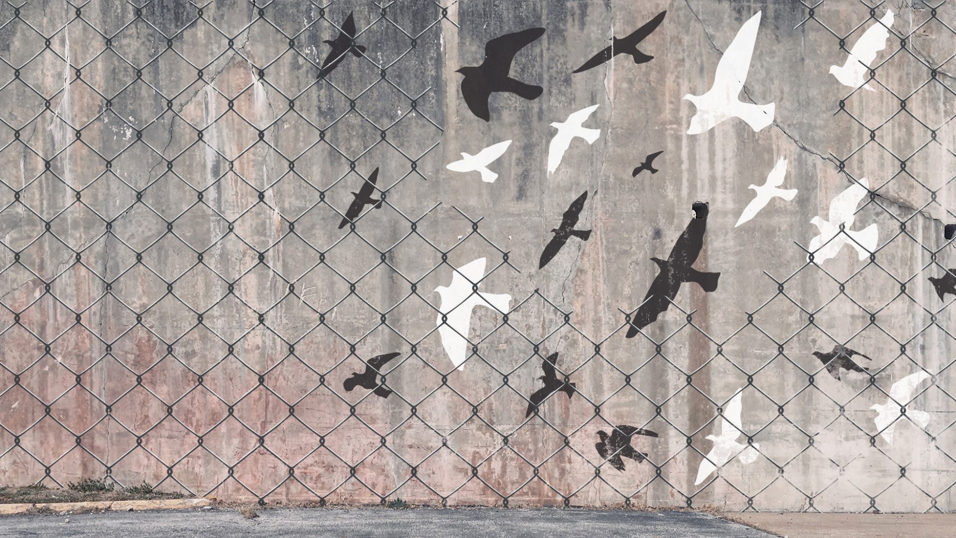 Public art painting on a grungy concrete wall of birds flying free through a hole in a fence